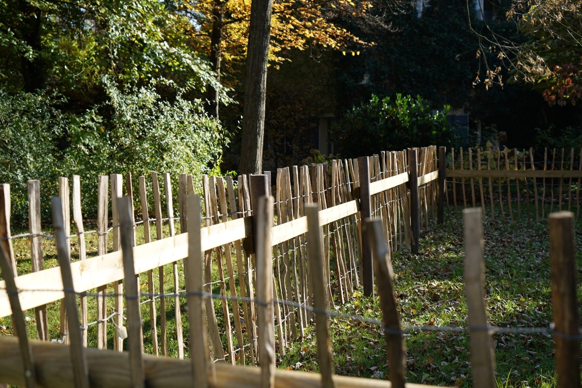 Portable fencing for gardens made from bamboo and wire.