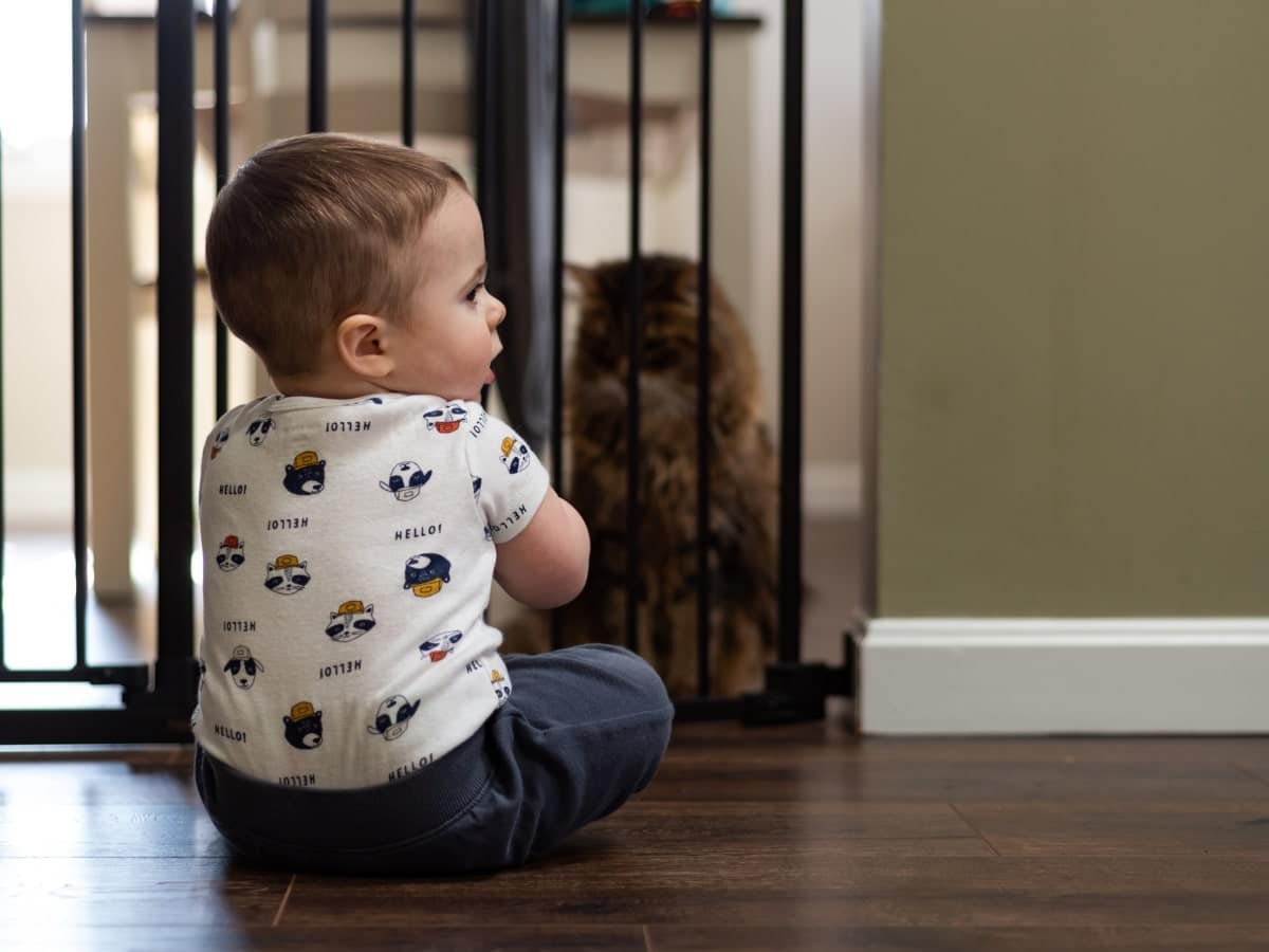 This image shows a dual-purpose use of a baby gate, with a baby and cat on opposite sides, representing a safe and convenient indoor barrier for both small children and pets.