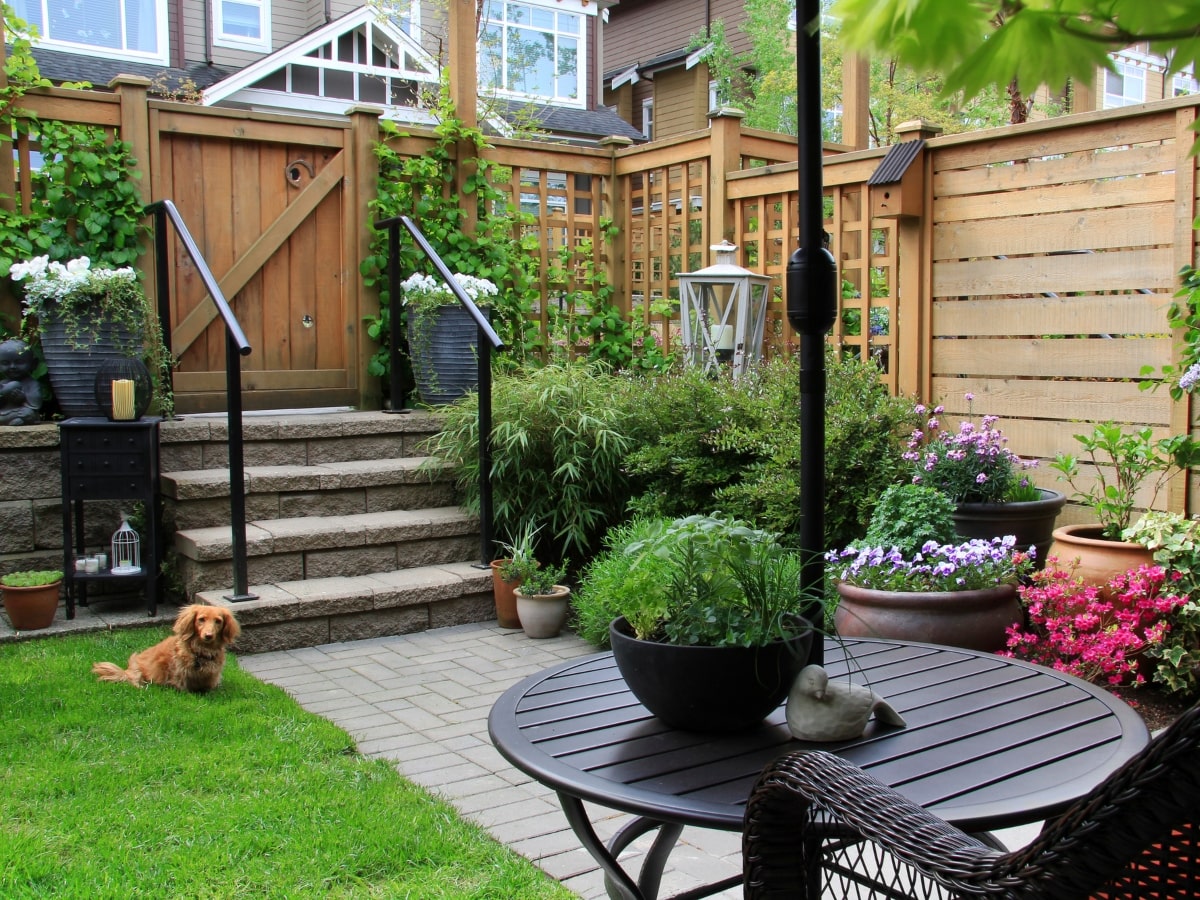 This image shows a dog enjoying the outdoors, encircled by a sturdy and stylish fence that ensures the safety of pets while complementing the garden's aesthetics.