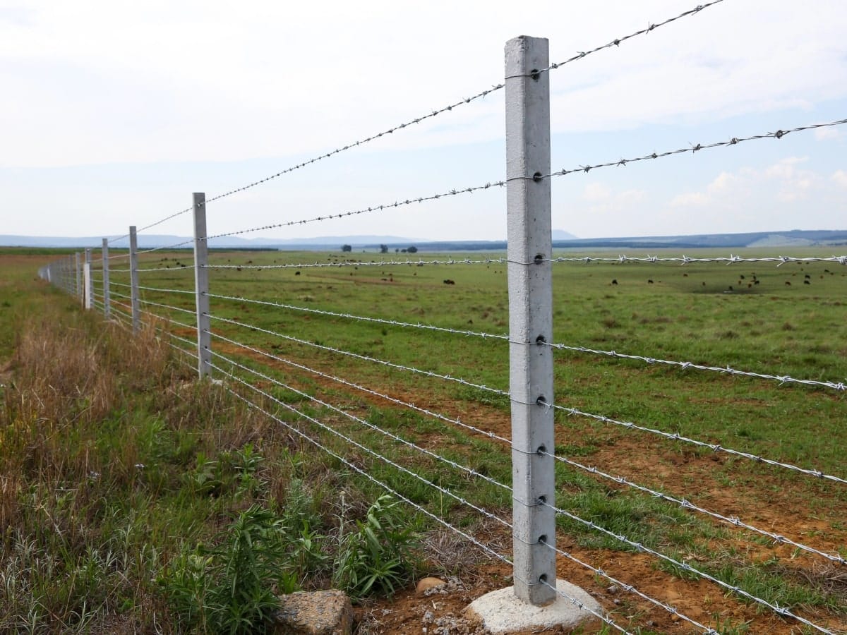  straight section of electric fencing with sturdy concrete posts running along the boundary of a farm, showcasing its practicality in rural settings for both perimeter security and animal management.