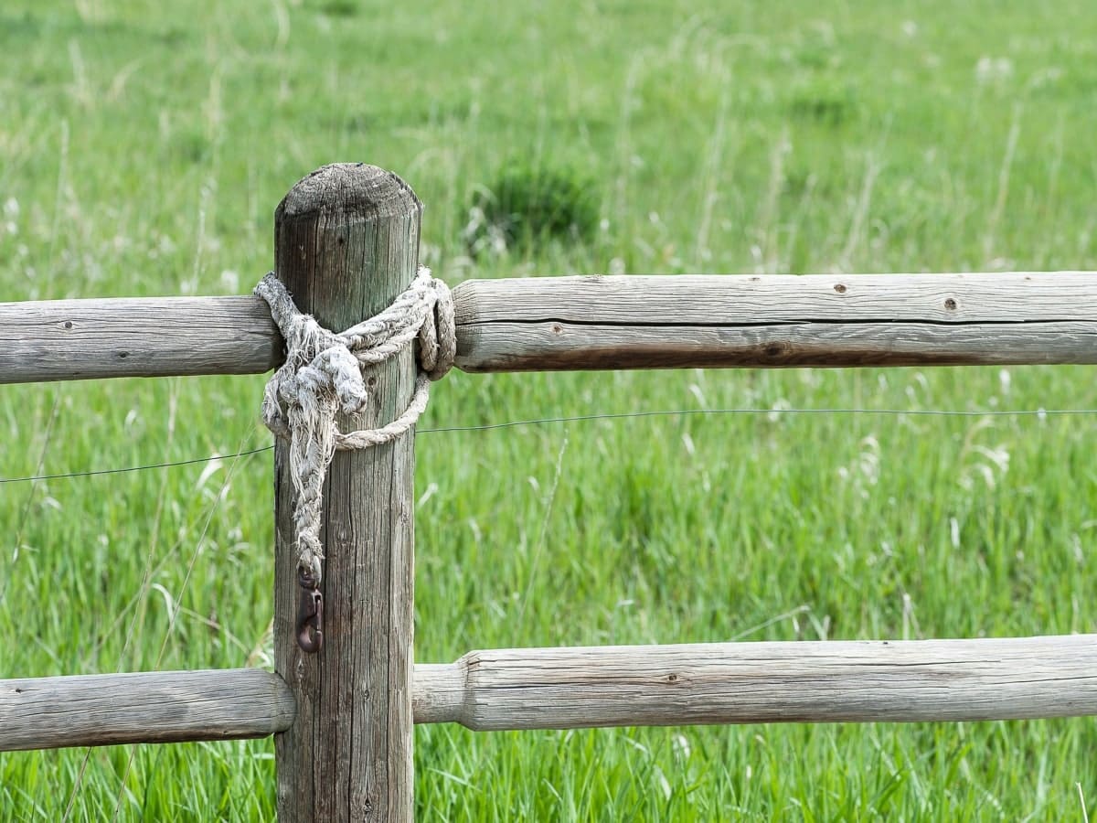 The sturdy construction of a rural post and rail fence, with its rugged wooden beams and secure ropework, demonstrates a low-maintenance fencing solution for rural landowners.